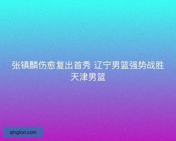 张镇麟伤愈复出首秀 辽宁男篮强势战胜天津男篮